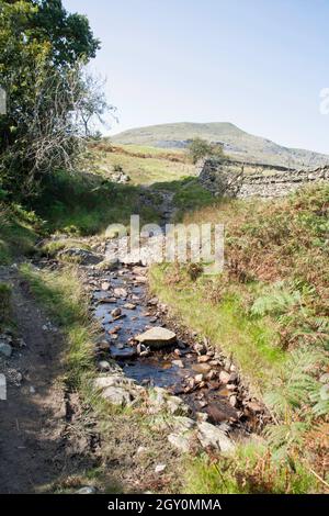 Piccolo torrente e sentiero vicino a Park Gate Coniston Cumbria Inghilterra Foto Stock