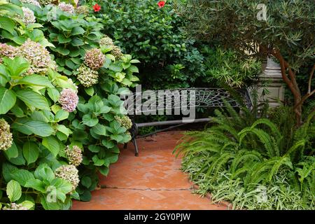 Panca posta sul sentiero tra il verde con fiori in fiore in giardino durante l'estate Foto Stock