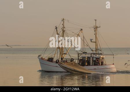 Trawler con la pesca del dragnet nel Mare di Wadden, Buesum, Mare del Nord, Schleswig-Holstein, Germania Foto Stock