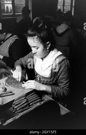 Eine Zigarrenrollerin in Marburger Tracht bei der Arbeit in einer Zigarrenfabrik bei Marburg, Deutschland 1930er Jahre. Una femmina di sigaro a rulli che indossa un abito di Marburg / costume di lavorare in un tessuto di sigaro vicino a Marburg, Germania 1930s. Foto Stock