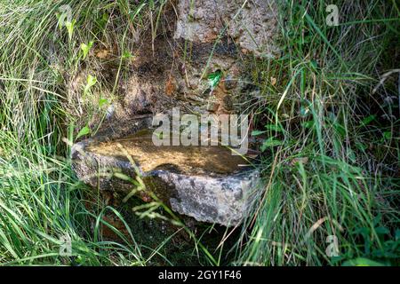 Piccola fontana persa nella montagna nel sud della Francia. Una sorgente fornisce acqua ad un piccolo bacino di pietra. Foto Stock