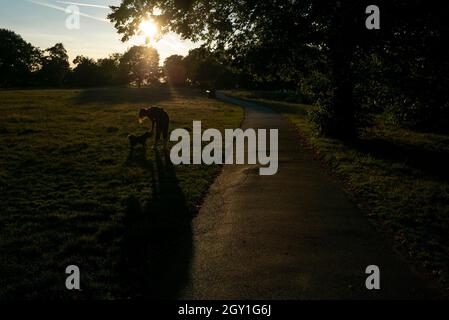 16/09/2020. Londra, Regno Unito. Le persone si rilassano, durante il tramonto a Greenwich Park. Photo credit: George Cracknell Wright Foto Stock