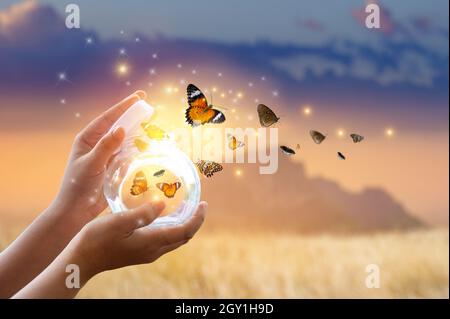 La ragazza si libera la farfalla dal vaso del frullatore, golden blue momento concetto di libertà Foto Stock