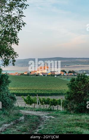 Vigneto autunno paesaggio in Moravia sud, Repubblica Ceca. Filari di vigneti, cielo tramonto, Zajeci villaggio e la chiesa in background.Winemaking Foto Stock