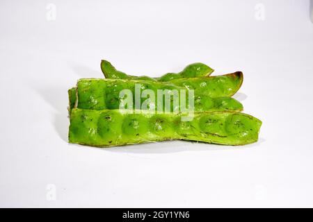 Primo piano con petai freschi. Petai è delizioso mangiato con sambal e riso. Foto Stock