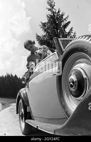 Eine junge Frau und ihr Hund bei einem Ausflug mit dem Cabrio auf den Berg Brend im Mittleren Schwarzwald, Deutschland 1930er Jahre. Una giovane donna e il suo cane su un viaggio con una decappottabile sulla collina Brend nella Foresta Nera, Germania 1930s. Foto Stock