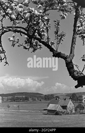 Eine idyllisch gelegene kleine Ortschaft im Schwarzwald, Deutschland 1930er Jahre. Un piccolo villaggio situato in una posizione idilliaca Foresta Nera valle, Germania 1930s. Foto Stock