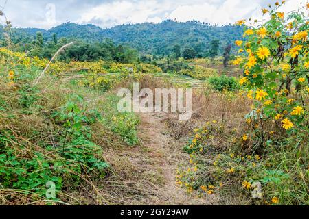 Paesaggio rurale vicino Hsipaw, Myanmar Foto Stock