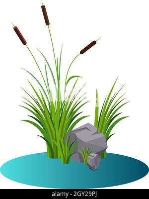Cattails cespuglio canne con pietre sul vettore d'acqua. Canne poppa e pietre grigie nel lago cartone animato acqua o gioco puntelli arredamento isolato su bianco Illustrazione Vettoriale