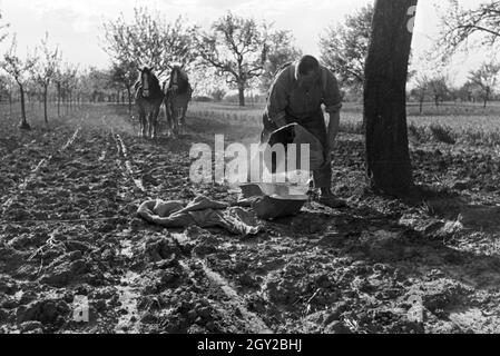 Ein rheinischer Bauer bei der Arbeit, Deutsches Reich 1930er Jahre. Un agricoltore renano lavorando, Germania 1930s. Foto Stock