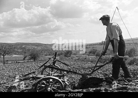 Ein rheinischer Bauer bei der Arbeit, Deutsches Reich 1930er Jahre. Un agricoltore renano lavorando, Germania 1930s. Foto Stock