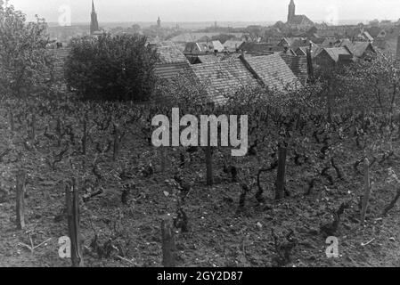 Ein Ausflug nach Neustadt an der Weinstrasse, Deutsches Reich 1930er Jahre. Una escursione a Neustadt an der Weinstrasse; Germania 1930s. Foto Stock