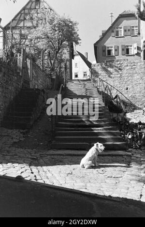 Ein Ausflug nach Wimpfen., Deutsches Reich 1930er Jahre. Una escursione a Wimpfen., Germania 1930s. Foto Stock