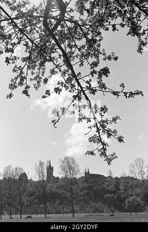 Ein Ausflug nach Wimpfen., Deutsches Reich 1930er Jahre. Una escursione a Wimpfen., Germania 1930s. Foto Stock