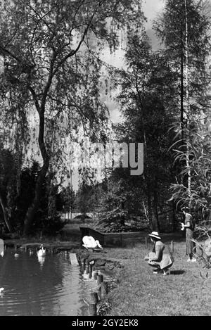 Zwei Damen im Kurpark Hirsau, Schwarzwald, Deutsches Reich 1930er Jahre. Signora due nei giardini del centro termale Hirsau, Foresta Nera, Germania 1930s. Foto Stock