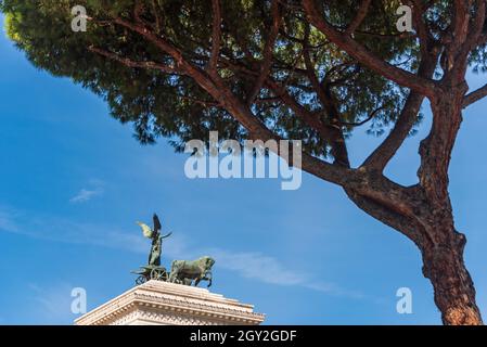 La scultura della Dea Vittoria che corre su quadriga vista attraverso il pino verde. La decorazione della cima del Monumento Vittorio Emanuele II (altare della Foto Stock