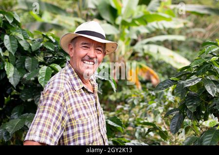 Ritratto di un agricoltore anziano sorridente. Il contadino del caffè indossa il cappello. Buon vecchio in una coltura colombiana del caffè. Foto di alta qualità Foto Stock