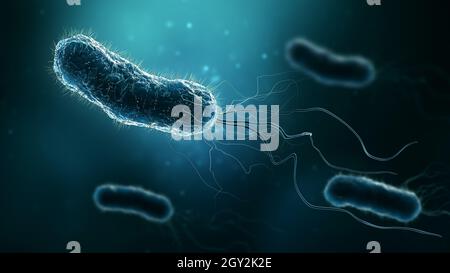 Gruppo di batteri come Escherichia coli, Helicobacter pylori o Salmonella 3D rendering illustrazione. Microbiologia, medicina, batteriologia, biologia, Foto Stock