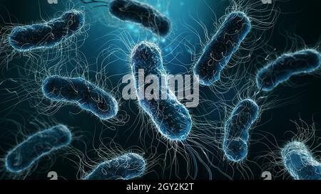 Immagine di rappresentazione 3D close-up di colonie di batteri su sfondo blu. Microbiologia, medicina, biologia, batteriologia, scienza, medicina, infezione, Foto Stock