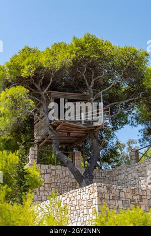 casa di albero costruita in alto in un albero giardino come un parco giochi o luogo di divertimento per i bambini a giocare e arrampicarsi. casa di albero in un albero verde alto fatto di legno. Foto Stock