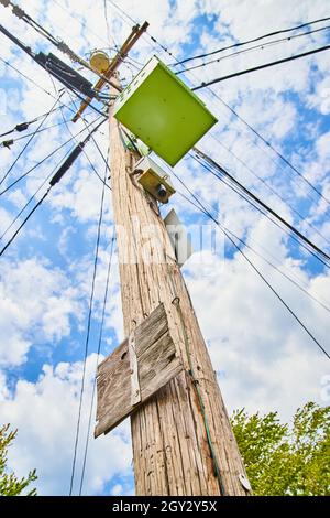 Guardando verso l'alto il palo del telefono con molti fili e scatola verde Foto Stock