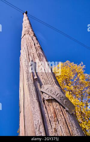 Particolare del palo del telefono con albero giallo e cielo blu Foto Stock