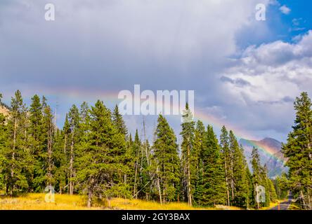 Bella arcobaleno sopra la foresta di Yellowstone. Foto Stock