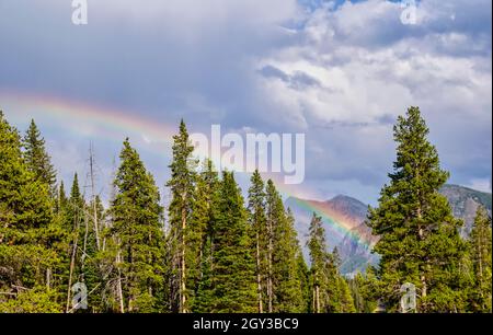 Bella arcobaleno sopra la foresta di Yellowstone. Foto Stock