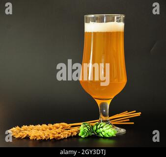 Calice di vetro alto di birra di grano chiaro con schiuma bianca su sfondo nero, diverse orecchie e luppolo nelle vicinanze. Primo piano. Foto Stock