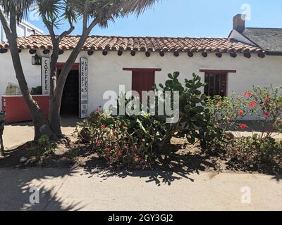 San Diego, California, Stati Uniti d'America - 4 agosto 2021: Cactus e fiori rossi di fronte al bianco edificio caffè nella città vecchia di San Diego, California Foto Stock