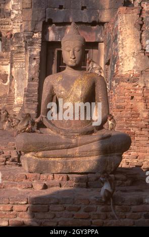 Thailandia: Buddha e scimmie al 13 ° secolo Prang Sam Yot, Lopburi. Originariamente un santuario Khmer Hindu, ha tre prangs che rappresentavano Brahma, Vishnu, e Shiva (la trinità Indù). Fu poi convertito in un santuario buddista. Fu poi convertito in un santuario buddista. Il centro storico di Lopburi risale all'epoca dei Dvaravati (VI-XIII secolo). Originariamente era conosciuto come Lavo o Lavapura. Dopo la fondazione del regno di Ayutthaya nel XV secolo, Lopburi era una roccaforte dei governanti di Ayutthaya. In seguito divenne una nuova capitale reale durante il regno di re Narai il Grande Foto Stock