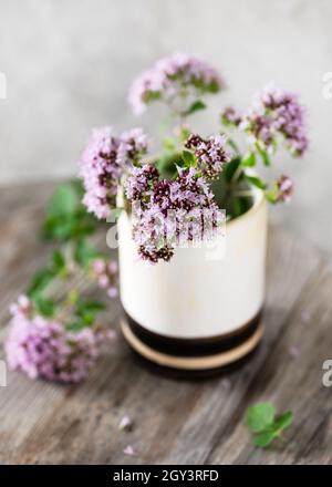 Freschi rametti di origano in fiore in una tazza di ceramica. Fiori di erbe, foglie utilizzate nella stagione alimentare e in medicina di erbe. Foto Stock