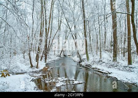 Fiume in inverno foresta coperta di neve Foto Stock