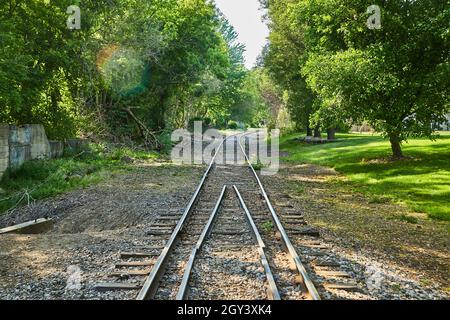 Semplici binari ferroviari attraverso i boschi Foto Stock