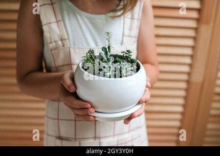 Mani della ragazza di primo piano che tengono una pentola con succulenti diversi. Concetto di giardinaggio domestico. Foto Stock