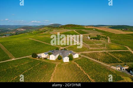 Vigneti nella regione Tokaj Ungheria. Famosa campagna vinicola che fa parte del sito patrimonio mondiale dell'UNESCO. Molti vini dolci famosi in tutto il mondo la fanno Foto Stock