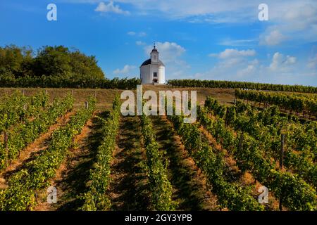 Cappella di Terez nella regione di Tokaj Ungheria Foto Stock