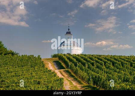 Cappella di Terez nella regione di Tokaj Ungheria Foto Stock