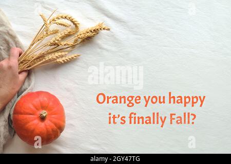 Texte sur Orange You Happy IT's finalmente cadere su tessuto bianco. Piatto con zucca d'arancia e spighe di grano secco su dorso in tessuto color avorio. Foto Stock