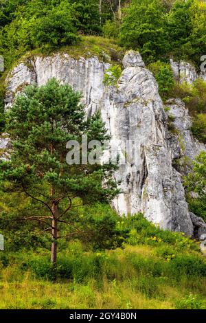 Mala Plyta roccia calcarea nella valle di Kobylanska all'interno del Giura Krakowsko-Czestochowska altopiano vicino a Cracovia in Polonia minore Foto Stock