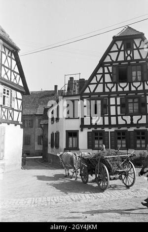 Ein Junge sitzt auf einem mit Heu beladenen Holzwagen in einer Bruchsaler Straße, Deutschland 1930er Jahre. Un ragazzo seduto su un mucchio di fieno su un carrello di legno in una strada a Bruchsal, Germania 1930s. Foto Stock