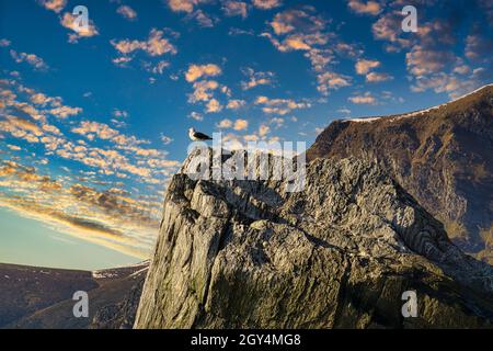 pesca in norvegia, selje. Un paradiso per le vacanze di pesca. Godetevi il paesaggio mozzafiato in barca. Montagne, mare, fiordo e pesce. Foto Stock