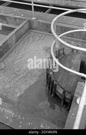 Faulbecken in einem Klärwerk, Deutschland 1930er Jahre. Serbatoi di digestivo presso un impianto di depurazione, Germania 1930s. Foto Stock