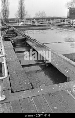 Sickergruben und Faulbecken in einem Klärwerk, Deutschland 1930er Jahre. Pozzi assorbenti e digestivo serbatoi presso un impianto di depurazione, Germania 1930s. Foto Stock