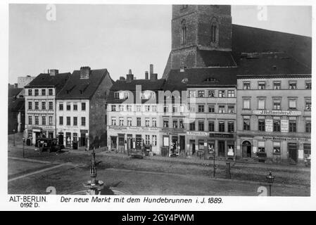 'La fotografia mostra il Neuer Markt con la fontana del cane nel centro di Berlino nel 1889. La Marienkirche si può vedere dietro di essa. Nella fila delle case si trovano i seguenti negozi (da sinistra a destra): 'Distillation of J. Lüdeke', ''G. T. Krainczyk'', 'distillation H. Leonhardt'', ''Posamentier- u. Wäsche-Geschäft'', ''Kleenwaaren-Handlung L. Wentzel'', ''J. Blümchen Ehren-Handlung', 'simon Chaym', ''Papier-Handlung von and. Nieper'', e sopra di essi magazzini di ''Arnold Kayser'' e di 'pecialität-Gardinen J. Hoffmeister a. Co'' [traduzione automatizzata]' Foto Stock