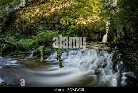 Lunga esposizione alla Catrigg Force nei pressi di Stainforth, Yorkshire Dales, Regno Unito. Foto Stock