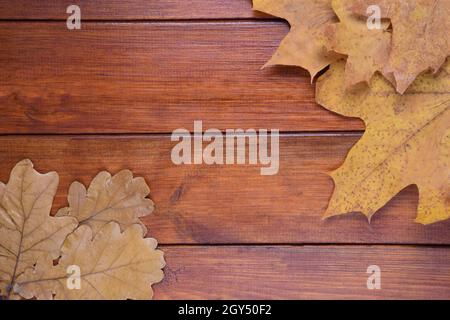 Su uno sfondo di legno marrone si trovano foglie di quercia e acero sulla destra. Al centro c'è uno spazio vuoto per l'iscrizione Foto Stock
