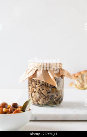 Miele sott'aceto fatto in casa funghi in vaso di vetro su sfondo bianco della cucina. Formato verticale. Primo piano. Foto Stock