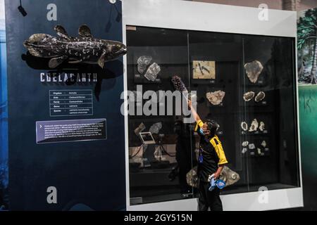 Bandung, Indonesia. 07 ottobre 2021. Un operaio pulisce una mostra con un'infografica di sfondo sui primi uomini al Bandung Geological Museum (Museum Geologi). Il governo della città di Bandung offre relax mentre riapre le attività nei musei in mezzo al Covid-19, coronavirus pandemic. Credit: SOPA Images Limited/Alamy Live News Foto Stock