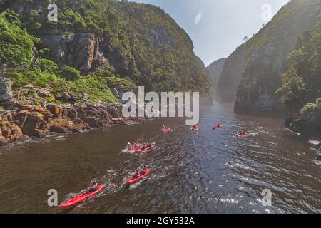 Una vista delle tempeste Gorge del Fiume con un gruppo di kayakers nel fiume alla sezione del Parco Nazionale di Tsitsikamma della Garden Route in Sud Africa. Foto Stock